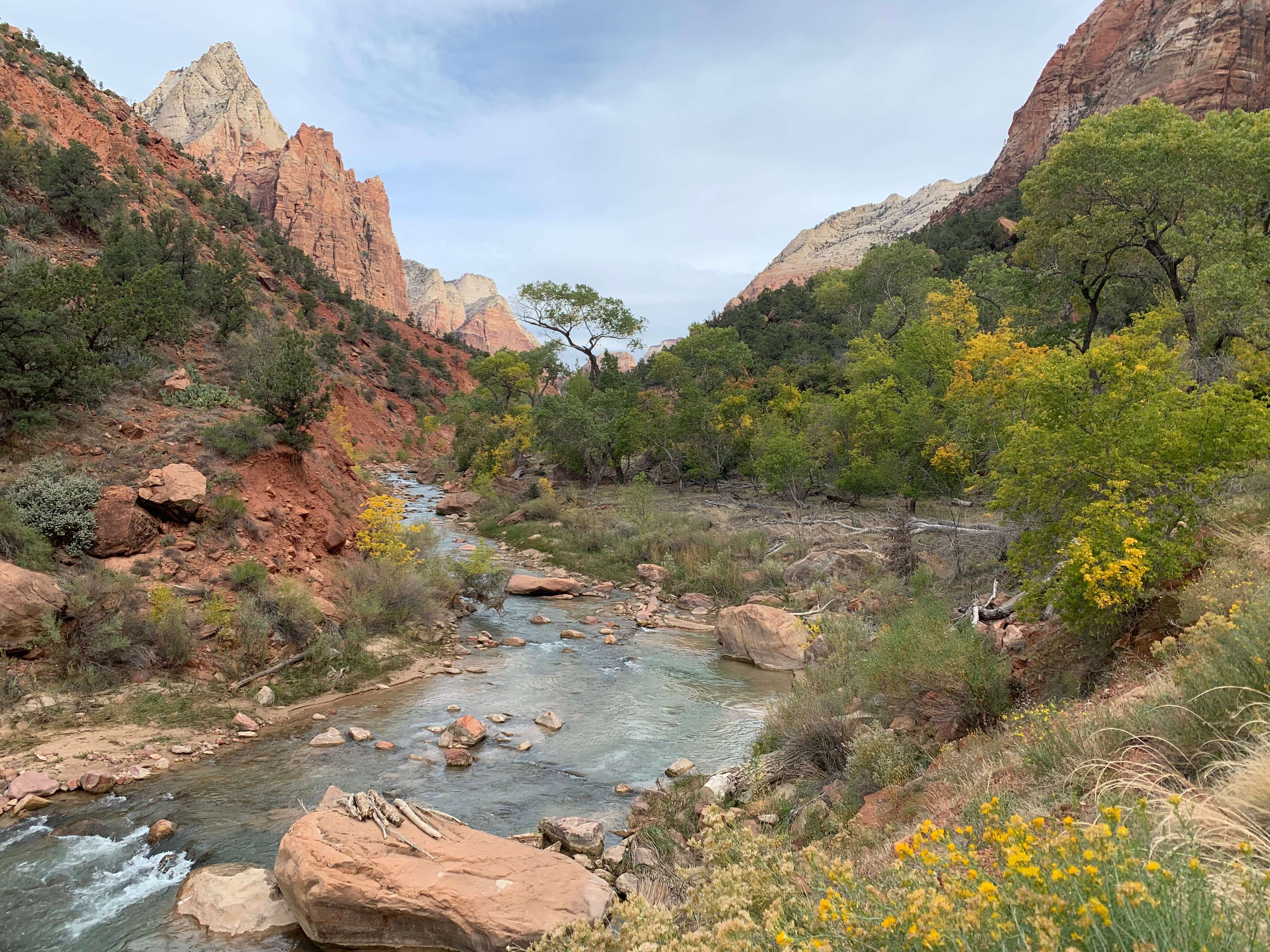 Zion NP